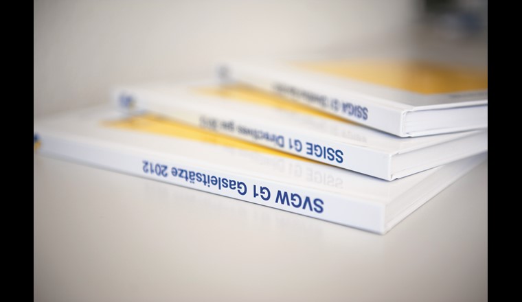 Quelle est la classification juridique de la réglementation de la SSIGE ?