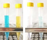 Am Beispiel von verschiedenen organischen Pigmenten, wie sie beispielsweise in der Textilindustrie verwendet werden, können die Forschenden zeigen, wie wirksam ihr Ansatz ist. Bild links vor der Behandlung, rechts nach der Behandlung. (Foto: ETH Zürich) Am Beispiel von verschiedenen organischen Pigmenten, wie sie beispielsweise in der Textilindustrie verwendet werden, können die Forschenden zeigen, wie wirksam ihr Ansatz ist. Bild links vor der Behandlung, rechts nach der Behandlung. (Foto: ETH Zürich)