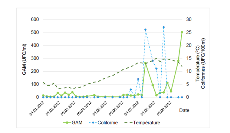 Fig. 2 Réseau de La Chaux-de-Fonds – Exemple de développement de germes aérobies méso-
philes (GAM) et apparition de coliformes en fin de réseau. Ces anomalies bactériennes apparaissent en été et/ou durant l’automne et dépendent de la température de l’eau.