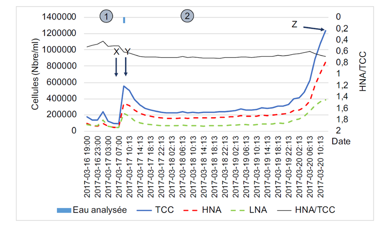 Fig. 9a Variation de la teneur en TCC lors d’une simulation de contamination d’une eau filtrée par des eaux épurées. Les analyses ont été effectuées avec un appareil de cytométrie de flux en continu. L’eau filtrée a été analysée (1) avant l’ajout d’eau épurée à une concentration finale de 5% (2). Les flèches indiquent les échantillons dont l’empreinte est donnée à la figure 9b.