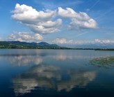 Am Pfäffikersee wurde das dreijährige Pilotprojekt zur Freihaltung von «Neobiota» erfolgreich abgeschlossen und ausgewertet. (Foto: Wikipedia)