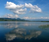 Am Pfäffikersee wurde das dreijährige Pilotprojekt zur Freihaltung von «Neobiota» erfolgreich abgeschlossen und ausgewertet. (Foto: Wikipedia) Am Pfäffikersee wurde das dreijährige Pilotprojekt zur Freihaltung von «Neobiota» erfolgreich abgeschlossen und ausgewertet. (Foto: Wikipedia)