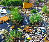 Plastikabfall ist eines der dringlichsten Probleme der Welt. (Foto: Dragan Zivkovic/123rf.com) Plastikabfall ist eines der dringlichsten Probleme der Welt. (Foto: Dragan Zivkovic/123rf.com)