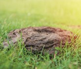 Eine techno-ökonomische Bewertung innovativer Kleinanlagen (©123RF.com) Eine techno-ökonomische Bewertung innovativer Kleinanlagen (©123RF.com)