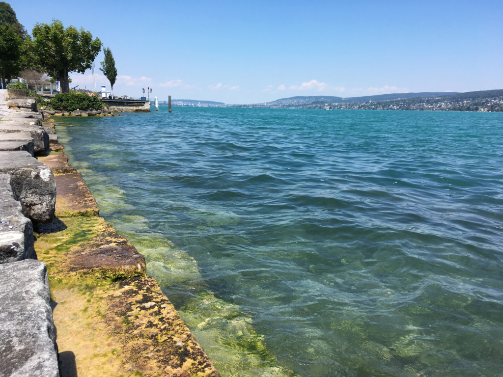 Auch der Zürichsee litt im Jahr 2018 unter der Trockenheit.
