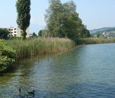 Der Kanton Schwyz ist mit seinen neun Seen und rund 2500 Kilometern Fliessgewässer ein wahrer Wasserkanton. (Foto: Kanton Schwyz) Der Kanton Schwyz ist mit seinen neun Seen und rund 2500 Kilometern Fliessgewässer ein wahrer Wasserkanton. (Foto: Kanton Schwyz)