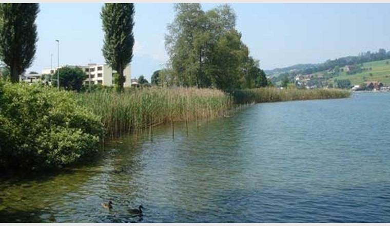 Der Kanton Schwyz ist mit seinen neun Seen und rund 2500 Kilometern Fliessgewässer ein wahrer Wasserkanton. (Foto: Kanton Schwyz)
