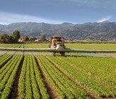 Seit den 1970er-Jahren wird Chlorothalonil in der Landwirtschaft eingesetzt. Jetzt prüft der Bund ein Verbot des Pflanzenschutzmittels. (Foto: Federico Costagno/123rf.com) Seit den 1970er-Jahren wird Chlorothalonil in der Landwirtschaft eingesetzt. Jetzt prüft der Bund ein Verbot des Pflanzenschutzmittels. (Foto: Federico Costagno/123rf.com)