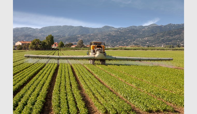 Seit den 1970er-Jahren wird Chlorothalonil in der Landwirtschaft eingesetzt. Jetzt prüft der Bund ein Verbot des Pflanzenschutzmittels. (Foto: Federico Costagno/123rf.com)