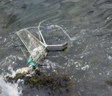 (c) maudis60/123rf.com (c) maudis60/123rf.com