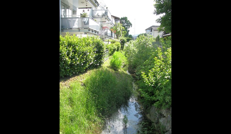 Fig. 4 La commune d’Ostermundigen a fait remettre en surface le cours d’eau anciennement enterré Lötschenbach. En cas de précipitations intensives, l’eau des trop-pleins des grands bassins d’infiltration s’y déverse également.