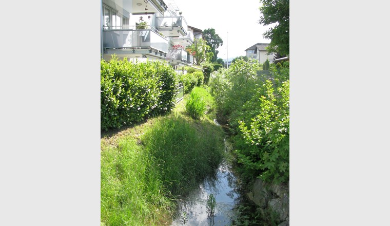Fig. 4 La commune d’Ostermundigen a fait remettre en surface le cours d’eau anciennement enterré Lötschenbach. En cas de précipitations intensives, l’eau des trop-pleins des grands bassins d’infiltration s’y déverse également.