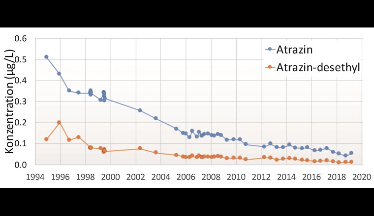 Konzentration von Atrazin und seinem Abbauprodukt im Grundwasser einer Wasserversorgung in der Ostschweiz von 1994 bis 2019. (Quelle: Interkantonales Labor, Schaffhausen, JB 2017, modifiziert).