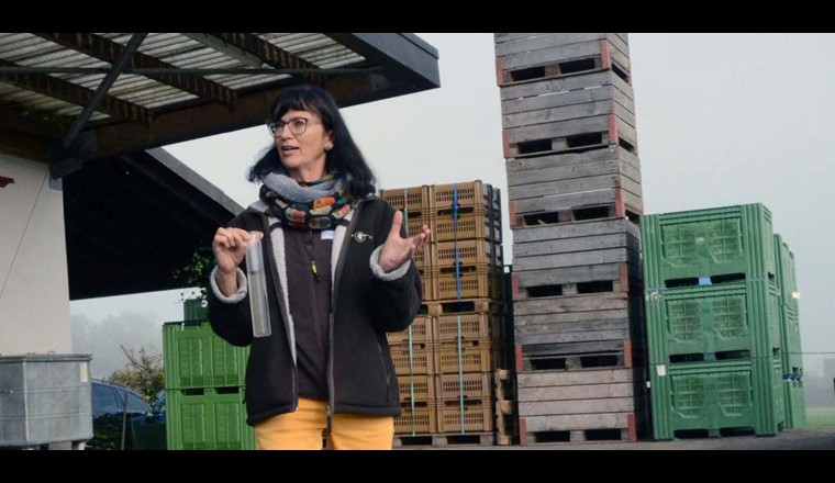 «AquaSan»: Das Projekt dauert acht Jahre, im Fokus stehen der Acker- und Tafelobstbau sowie der Beeren- und Gemüseanbau.