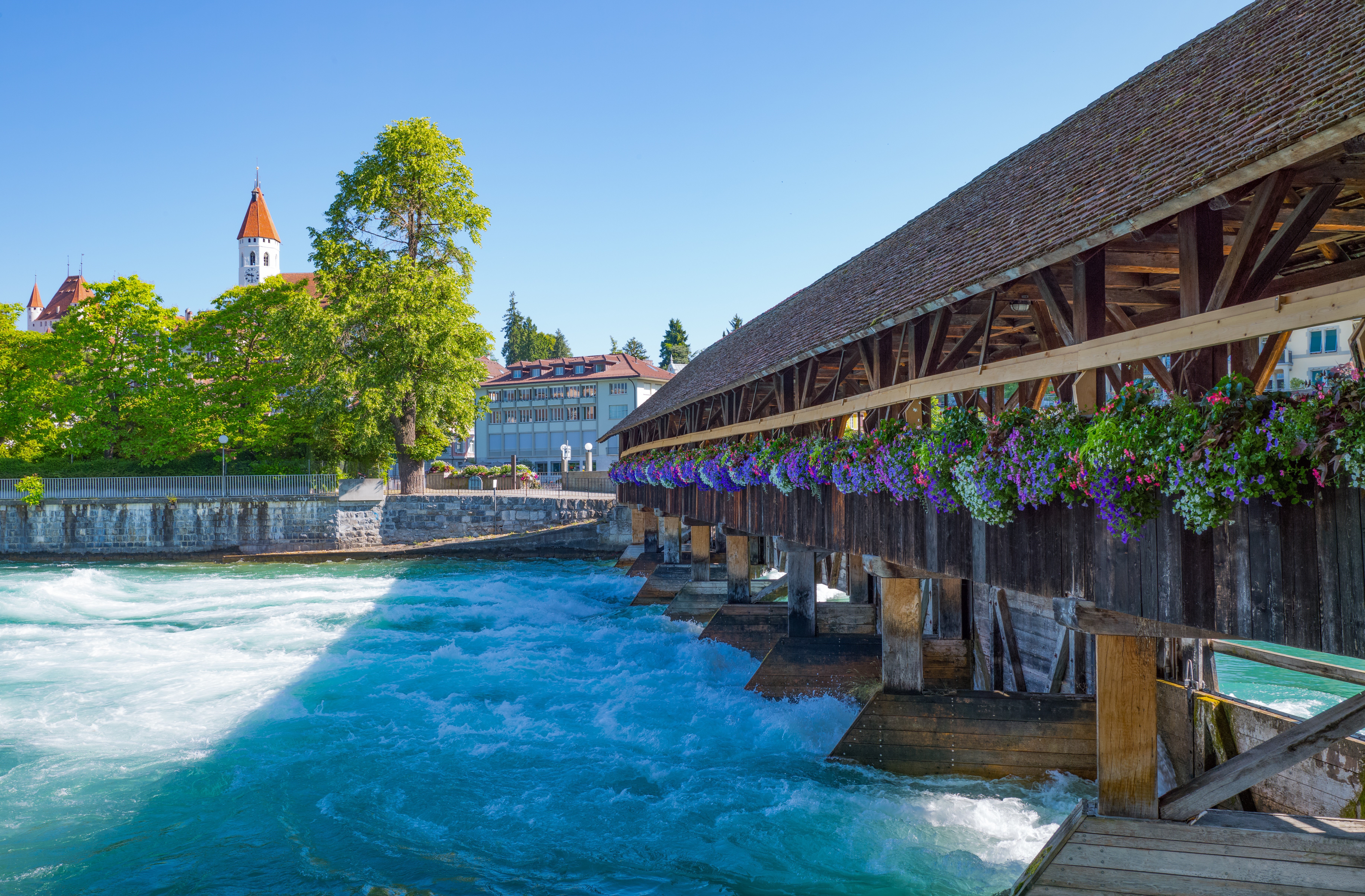 Die Aare bei Thun bekommt für 775'000 Franken neue Uferverbauungen. Der betroffene Abschnitt ist rund drei Kilometer lang. (Foto: Giuseppe Masci/123rfcom)