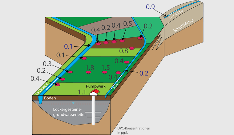 Fig. 3 Schematische Darstellung des Geländestandortes Daillens-Eclépens VD. Zahlen entsprechen den DPC-Konzentrationen im Pumpwerk «Puits des Graveys» bzw. in den Grundwassermessstellen sowie in den Oberflächengewässern bei Mittelwasserstand-Bedingungen.