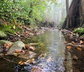 Nachweis von Pyrethroid- und Organophosphat-insektiziden in Schweizer Bächen im Picogramm-pro-Liter-Bereich Nachweis von Pyrethroid- und Organophosphat-insektiziden in Schweizer Bächen im Picogramm-pro-Liter-Bereich