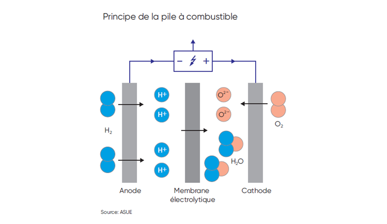 Principe de la pile à combustible