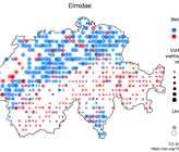 Vorkommen der Käferfamilie Elmidae in der Schweiz in den Biodiversitätsmonitoringdaten und im Modell, grosse blaue Punkte und kleine rote Punkte zeigen eine gute Übereinstimmung zwischen Beobachtung und Modell. (Grafik: Eawag)