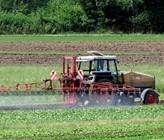 Der Einsatz von Chlorothalonil bleibt ein Thema (Foto: Vision Landwirtschaft) Der Einsatz von Chlorothalonil bleibt ein Thema (Foto: Vision Landwirtschaft)