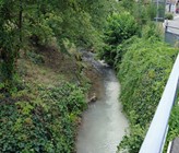 Im vergangenen Jahr kam es im Kanton Luzern zu 88 Fällen von Gewässerverschmutzung. (Foto: Polizei Luzern)
