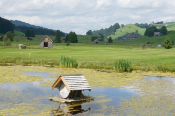 Die Idylle trügt: In Gonten im Appenzell kam es zu einer Gewässerverschmutzung durch Jauche. (Foto: Gemeinde Gonten)