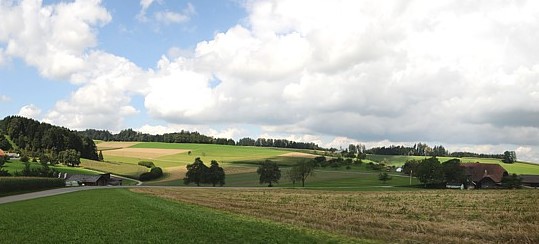 Die Kantone müssen einen Mindestumfang an Fruchtfolgeflächen festlegen.  (Foto: Kanton Luzern)