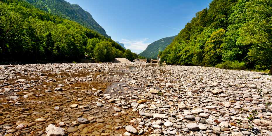 In Hitzesommern tritt das Paradox auf, dass Bäche kaum mehr Wasser führen, die Vegetation in mittleren und hohen Lagen jedoch üppig grün ist. (Foto: ETH Zürich/iStock)