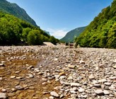 In Hitzesommern tritt das Paradox auf, dass Bäche kaum mehr Wasser führen, die Vegetation in mittleren und hohen Lagen jedoch üppig grün ist. (Foto: ETH Zürich/iStock) In Hitzesommern tritt das Paradox auf, dass Bäche kaum mehr Wasser führen, die Vegetation in mittleren und hohen Lagen jedoch üppig grün ist. (Foto: ETH Zürich/iStock)