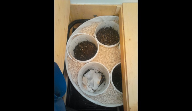 Fig. 8 Cacarrousel en utilisation