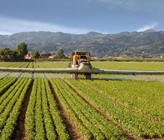 Ende Mai findet in Biel ein nationaler Fachaustausch zum Thema «Chlorothalonil-Metaboliten im Trinkwasser» statt. (Foto: 123rf.com/Federico Costagno) statt. Ende Mai findet in Biel ein nationaler Fachaustausch zum Thema «Chlorothalonil-Metaboliten im Trinkwasser» statt. (Foto: 123rf.com/Federico Costagno) statt.