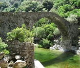 Für ein Dutzend Pestizide, die für Wasserlebewesen besonders problematisch sind, führt die Verordnung strengere Grenzwerte ein. (Foto: SVGW) Für ein Dutzend Pestizide, die für Wasserlebewesen besonders problematisch sind, führt die Verordnung strengere Grenzwerte ein. (Foto: SVGW)