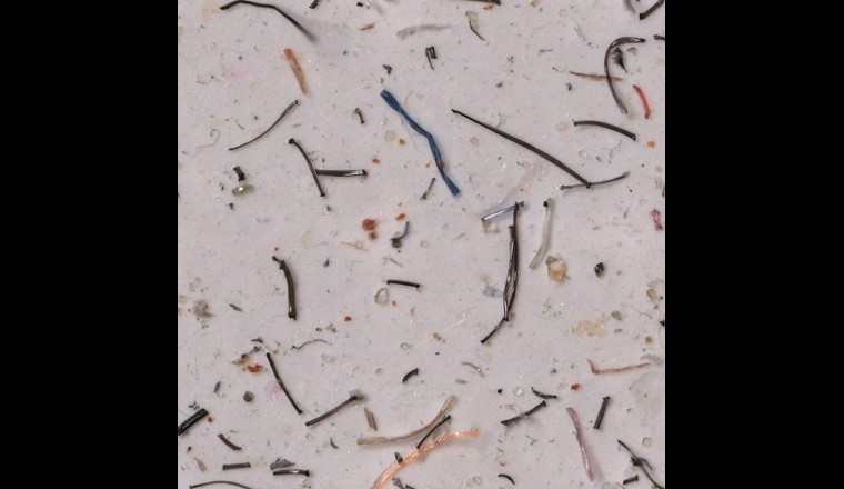 Verteilung der Mikroplastik-Fasern und -Partikel der ersten  Haupt­wäsche von Fleece-Wäsche.