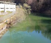 Flockungsmittel in der Saane. (Foto: Amt für Umwelt des Kantons Fribourg) Flockungsmittel in der Saane. (Foto: Amt für Umwelt des Kantons Fribourg)