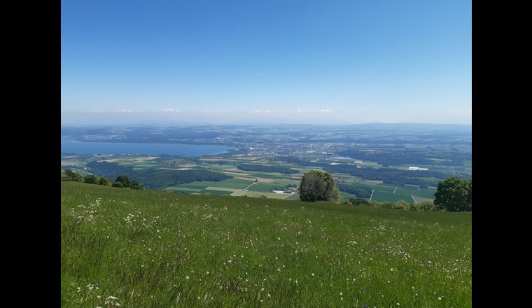 Panorama de la région d’Yverdon-les-Bains – Grandson depuis la chaîne du Jura. Dans la présente étude, le suivi spatio-temporel détaillé par cytométrie en flux des réseaux d’eau potable alimentant cette région a permis non seulement de déterminer les communautés microbiennes des ressources en eau, mais également de distinguer l’évolution de ces populations dans le réseau.