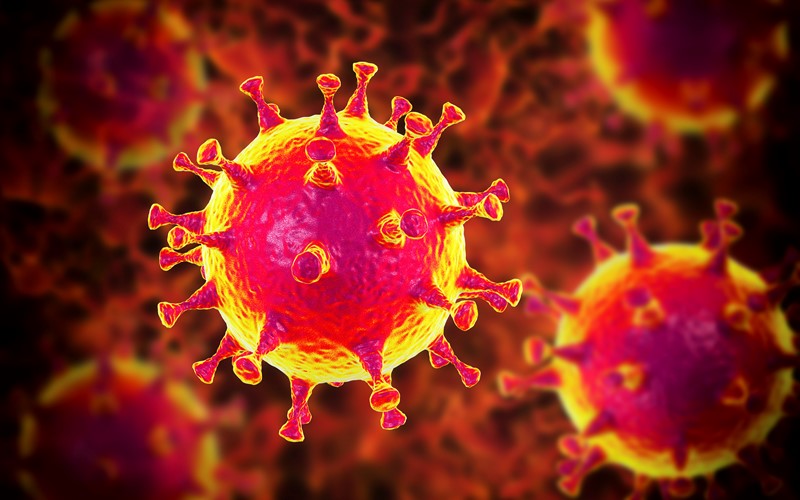 Au sujet du coronavirus et de ses conséquences