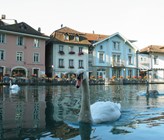 In der Nähe von Thun soll ein neues Abwasserrückhaltebecken entstehen. (Foto: Thun Tourismus) In der Nähe von Thun soll ein neues Abwasserrückhaltebecken entstehen. (Foto: Thun Tourismus)