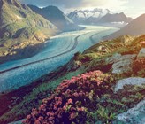 Die Oberfläche des Grossen Aletschgletschers im Wallis, dem grössten Gletscher der Alpen, schmolz in den unteren Lagen um mehr als 5 Meter pro Jahr. (Foto: Wallis Tourismus)