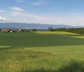 Um die gute Trinkwasserqualität langfristig zu sichern, ist ein besserer Schutz des Zuströmbereichs angezeigt. Um die gute Trinkwasserqualität langfristig zu sichern, ist ein besserer Schutz des Zuströmbereichs angezeigt.