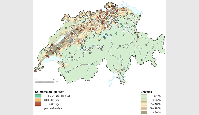 Die Auswertung von 70 NAQUA-Messstellen in den Jahren 2017 und 2018 verdeutlicht die weiträumige Verbreitung und den hohen Anteil von Grenzwertüberschreitungen mit dem Chlorothalonil-Metaboliten R471811 im Grundwasser des Mittellandes.