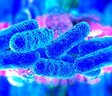 Die Hygiene in Trinkwasserinstallationen wird zunehmend wichtiger. (Foto: Royalty Stock/123rf.com) Die Hygiene in Trinkwasserinstallationen wird zunehmend wichtiger. (Foto: Royalty Stock/123rf.com)