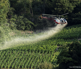 Foto: KEYSTONE/Alessandro della Valle Foto: KEYSTONE/Alessandro della Valle