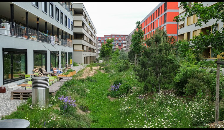 Fig. 5 Venelle du quartier des Vergers à Meyrin (GE). (© Etat de Genève, Théo Gardiol)