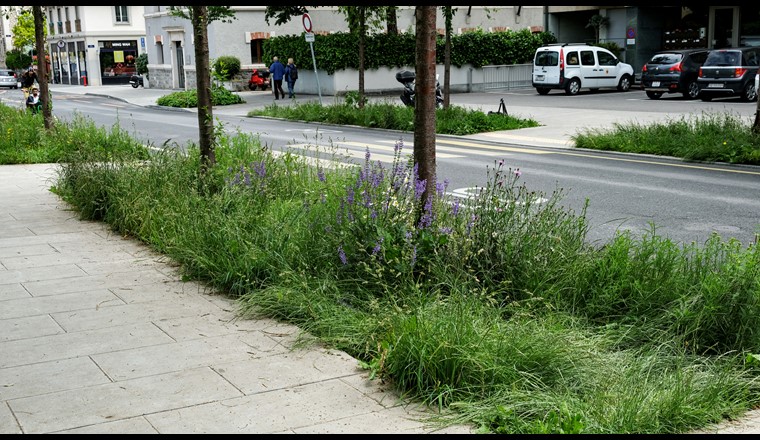Fig. 6 Rue de St-Jean en Ville de Genève. (© Etat de Genève, Théo Gardiol)