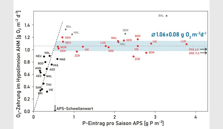 Zehrungsrate im Hypolimnion pro Flächeneinheit (AHM) als Funktion des pro Fläche verfügbaren Phosphors (APS: Areal Phosphorus Supply). Rot: alle APS-Werte über 0,54 g P m–2; Grau: künstlich belüftete Seen. Das blaue Band zeigt den Mittelwert der AHM aller roten Punkte (1,06 ± 0,08 g O2 m–2 d–1). Die AHM nimmt erst unter dem APS-Schwellenwert von 0,54 ± 0,06 g P m–2 proportional zum P-Angebot ab. Verschiedene Seen sind mehrfach vertreten, da Daten aus verschiedenen Jahrzehnten (mit verschiedenen Niveaus der P-Belastung) verwendet wurden.