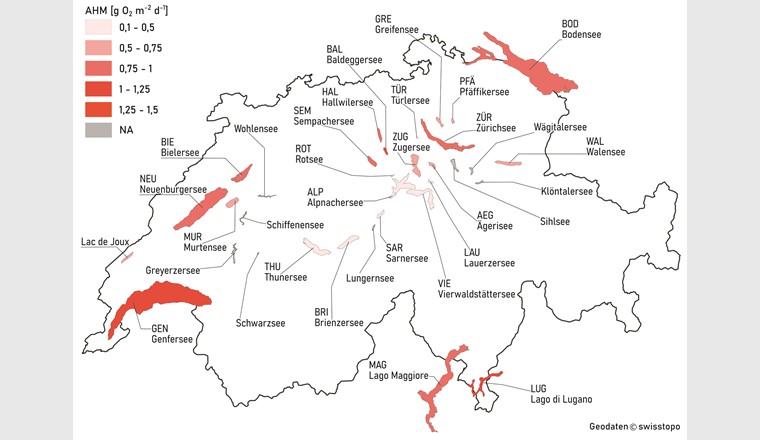 Hypolimnische O2-Zehrung AHM der grösseren Schweizer Seen. Seen ohne zum Zeitpunkt der Publikation verfügbare Daten sind grau dargestellt. Daten neu berechnet aus [9, 10, 14]. (Geodaten: ©swisstopo)