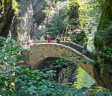 Die Areuse-Schlucht in der Nähe des Neuenburgersees. (Foto: Schweiz Tourismus) Die Areuse-Schlucht in der Nähe des Neuenburgersees. (Foto: Schweiz Tourismus)