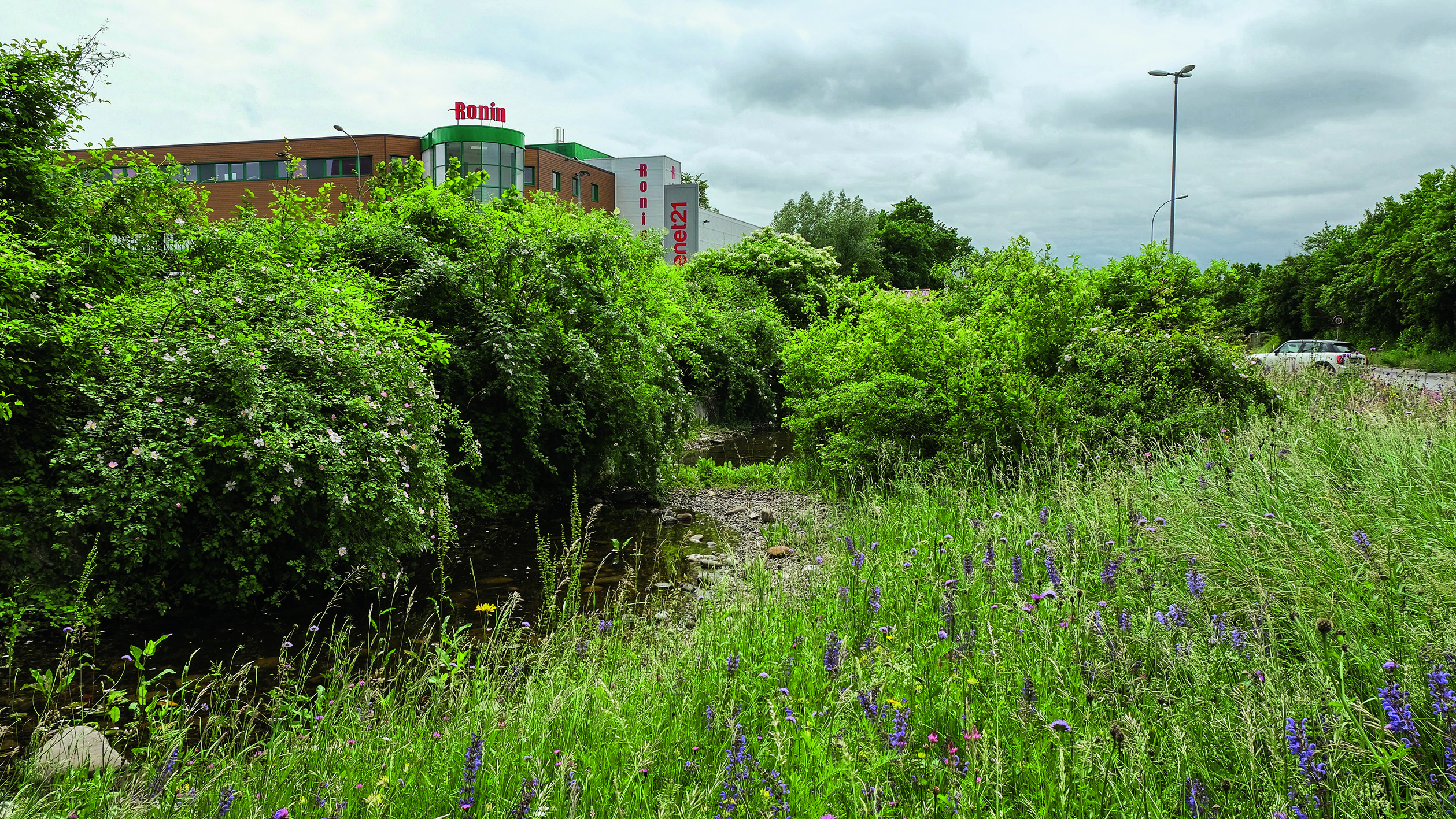 Wasser in der Stadt: Eine Änderung der gängigen Praxis ist notwendig.