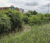 Wasser in der Stadt: Eine Änderung der gängigen Praxis ist notwendig. Wasser in der Stadt: Eine Änderung der gängigen Praxis ist notwendig.