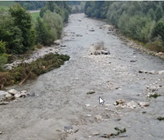 Raubäume in der Kleinen Emme sind für die Fische Rückzugsgebiete.
Quelle: Kanton Luzern Raubäume in der Kleinen Emme sind für die Fische Rückzugsgebiete.
Quelle: Kanton Luzern
